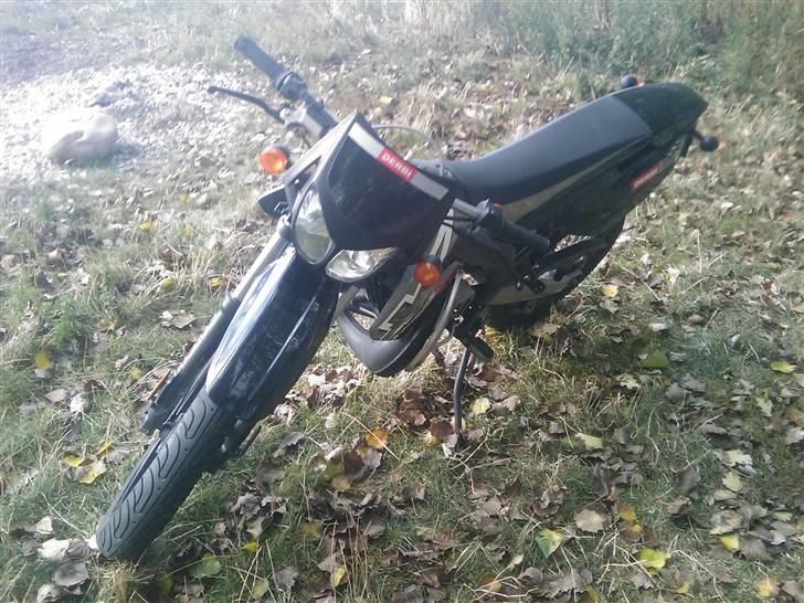 Derbi senda sm 50 (Henriette) billede 12