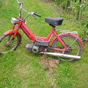 Puch maxi k