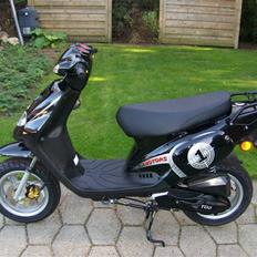 TGB Pegasus 101 R (motor smadret)