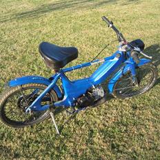 Puch maxi polini til salg 