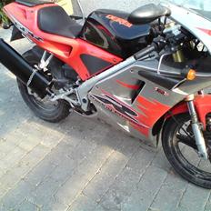 Derbi GPR 50