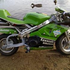 Kawasaki Ninja Pocketbike projekt