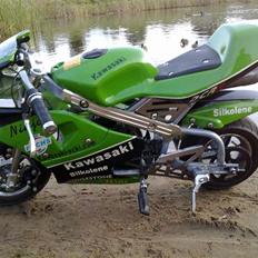 Kawasaki Ninja Pocketbike projekt