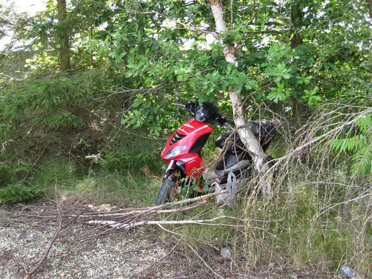 Piaggio nrg dt power  billede 12