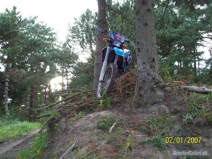 Aprilia RX 50 billede 3