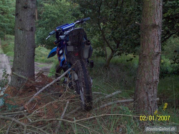 Aprilia RX 50 billede 6