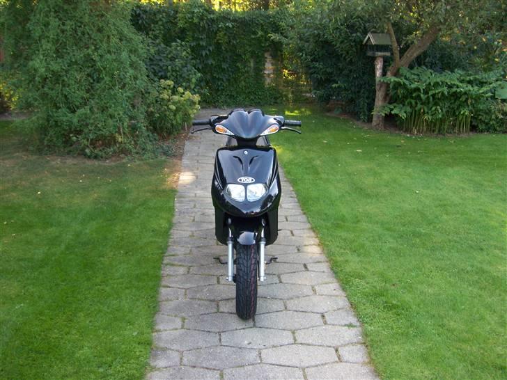 TGB Pegasus 101 R (motor smadret) billede 1
