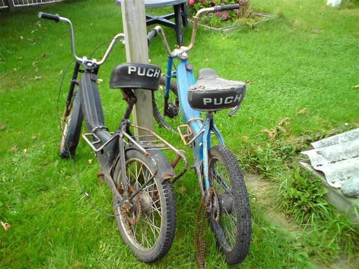 Puch Maxi Under opbygning billede 2