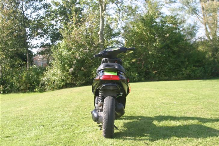 Piaggio Typhoon Ac billede 2