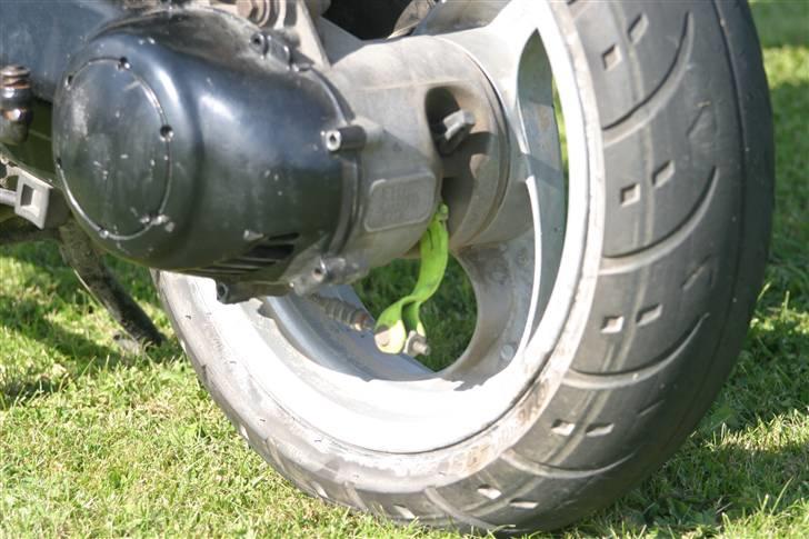 Piaggio Typhoon Ac billede 3