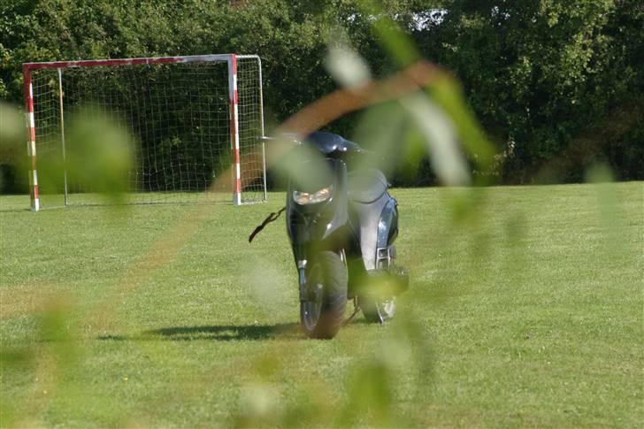 Piaggio Typhoon Ac billede 5