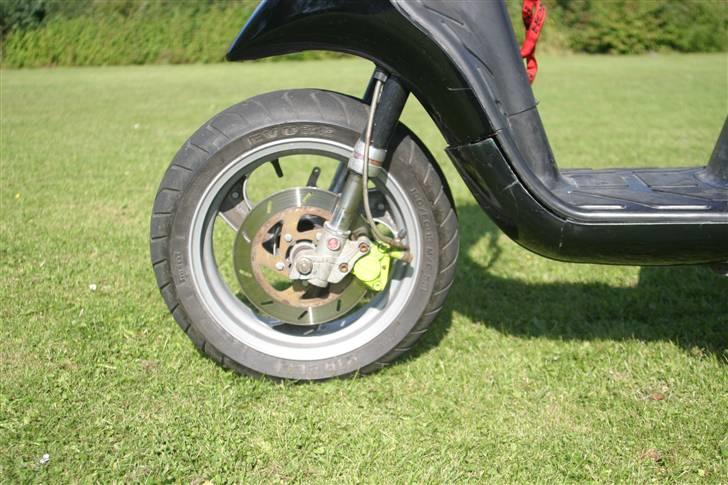 Piaggio Typhoon Ac billede 8