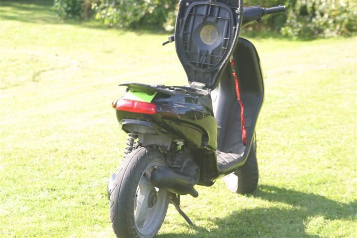 Piaggio Typhoon Ac billede 12