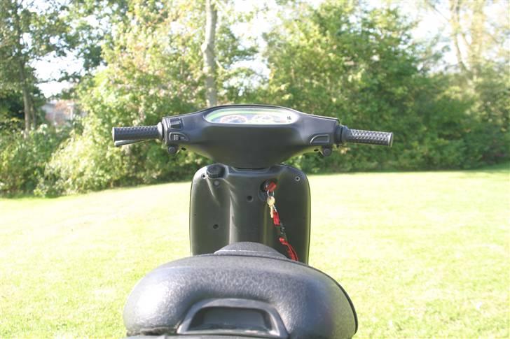 Piaggio Typhoon Ac billede 13