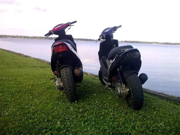 PGO Hot 50 billede 9