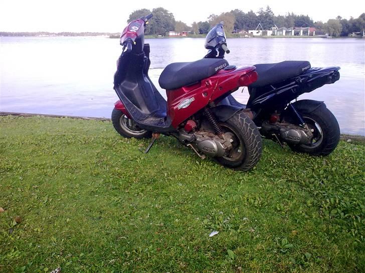 PGO Hot 50 billede 10