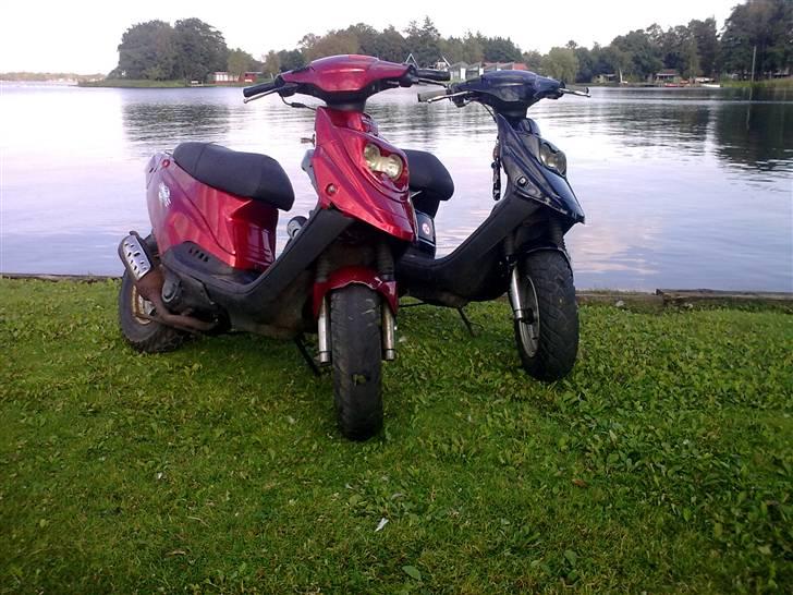 PGO Hot 50 billede 11