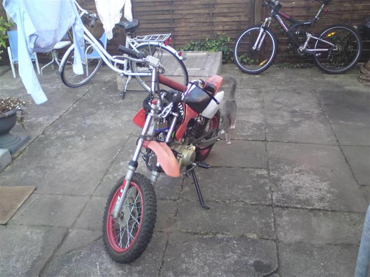 MiniBike dirtbike 110ccm  stjålet billede 1