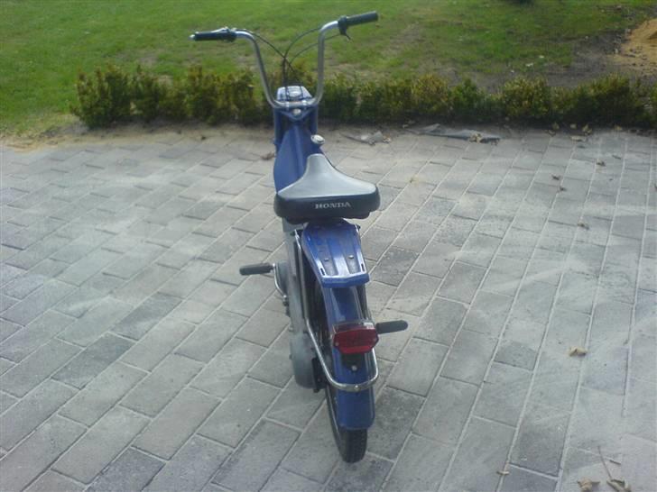 Honda Camino pa 50 billede 4