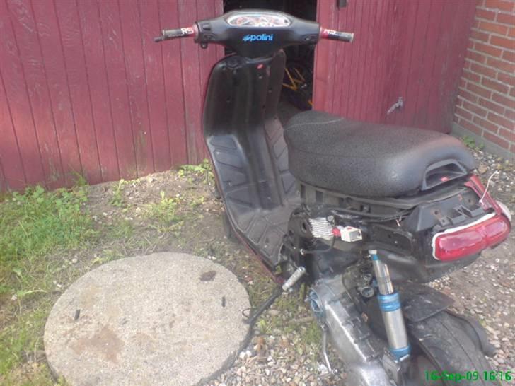 Piaggio Typhoon ( SOLGT ) billede 1