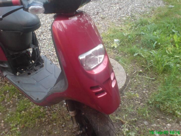 Piaggio Typhoon ( SOLGT ) billede 6