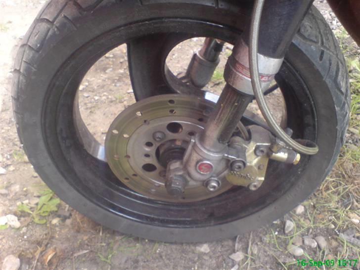 Piaggio Typhoon ( SOLGT ) billede 7