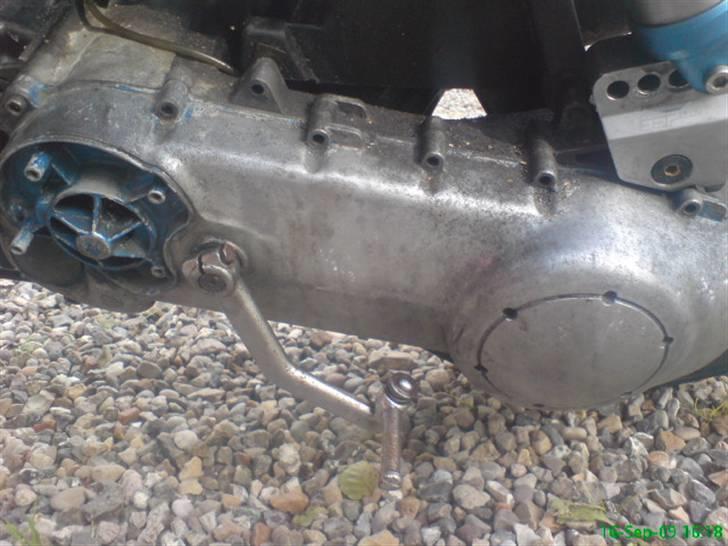 Piaggio Typhoon ( SOLGT ) billede 9