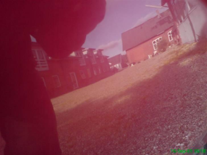 Piaggio Typhoon ( SOLGT ) billede 12