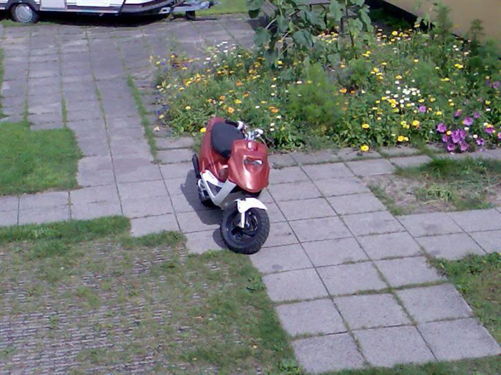 PGO hot 50 TIL SALG! billede 11