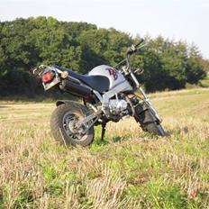 Skyteam pbr Spritteren Solgt