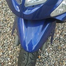 PGO Dr. Big 