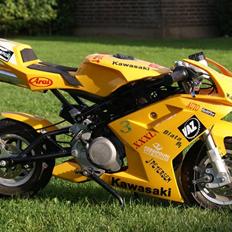 Blata pocketbike Bane LC