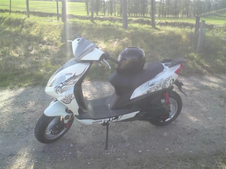 Giantco Spartan  billede 1