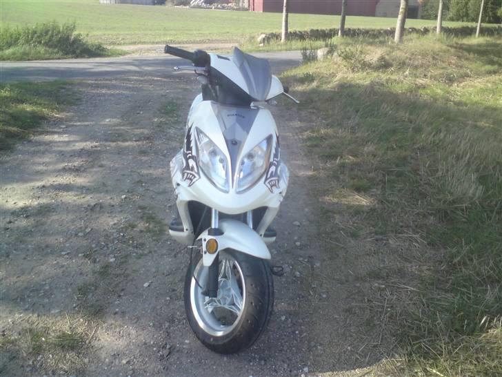 Giantco Spartan  billede 2