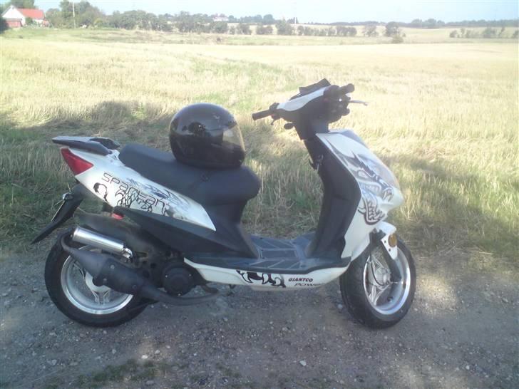 Giantco Spartan  billede 3