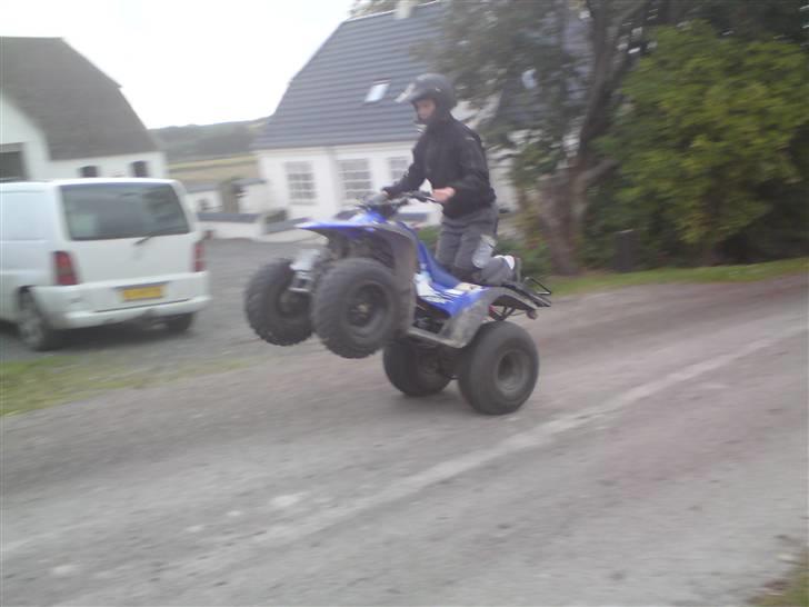 Suzuki aeon cobra (solgt) billede 12