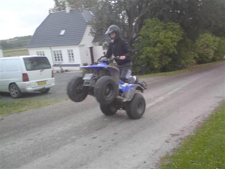 Suzuki aeon cobra (solgt) billede 13