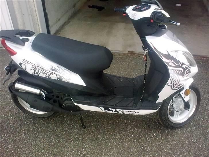 Giantco Spartan billede 3