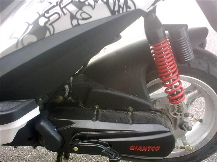 Giantco Spartan billede 7