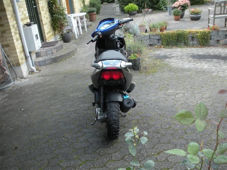 PGO Dr. Big TILSALG billede 8