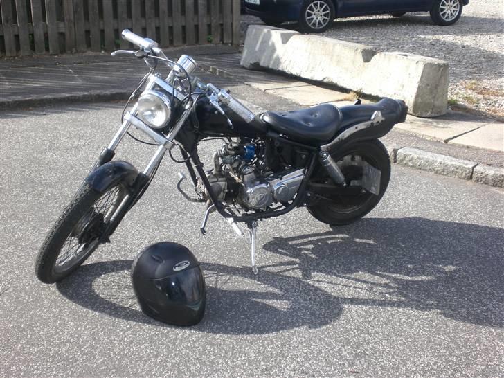 Regal raptor billede 2