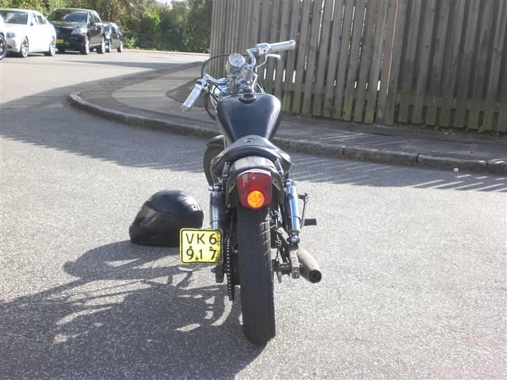 Regal raptor billede 4