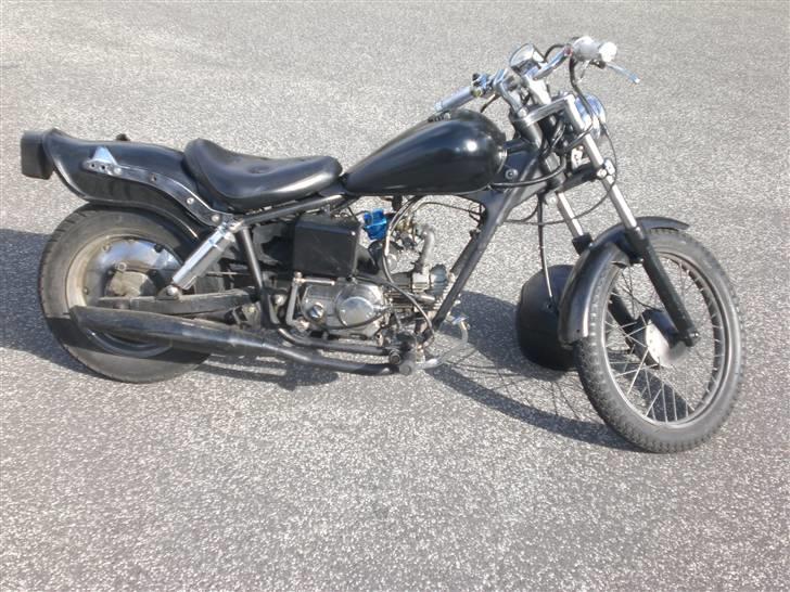 Regal raptor billede 5