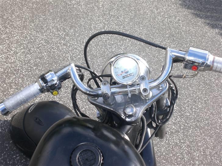 Regal raptor billede 6