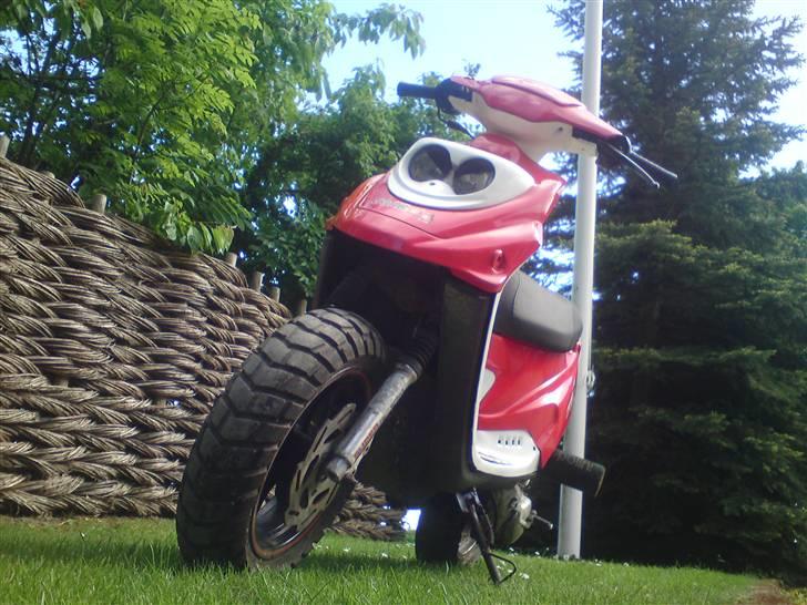 PGO Hot 50 *Til Salg* billede 1