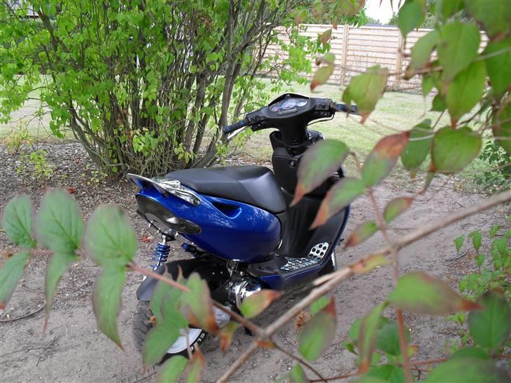 Aprilia Sonic ¤solgt¤ billede 7