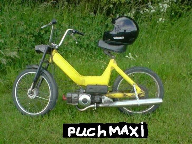 Puch maxi k ''den gule snegl'' billede 2