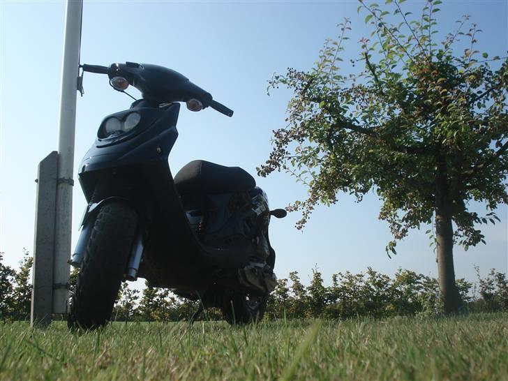 PGO hot 50 stjålet - dusør.. - store pudse dag. billede 10