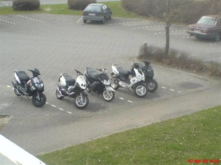 PGO Dr. Rox LC DD SOLGT! - HBK SCOOTER CREW  billede 15