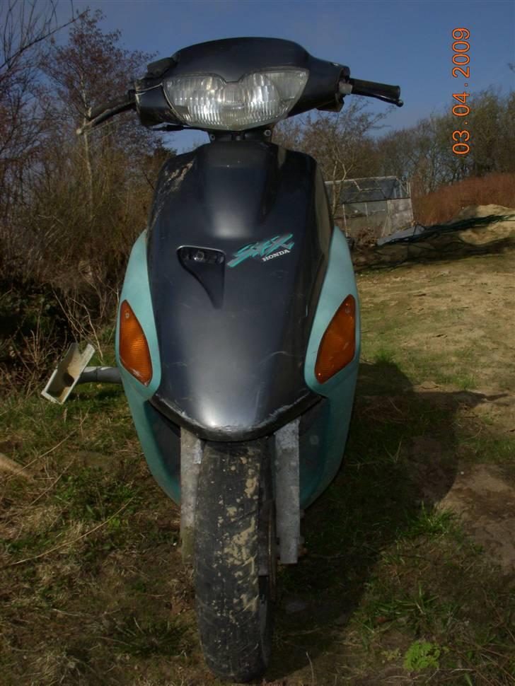 Honda SFX billede 4